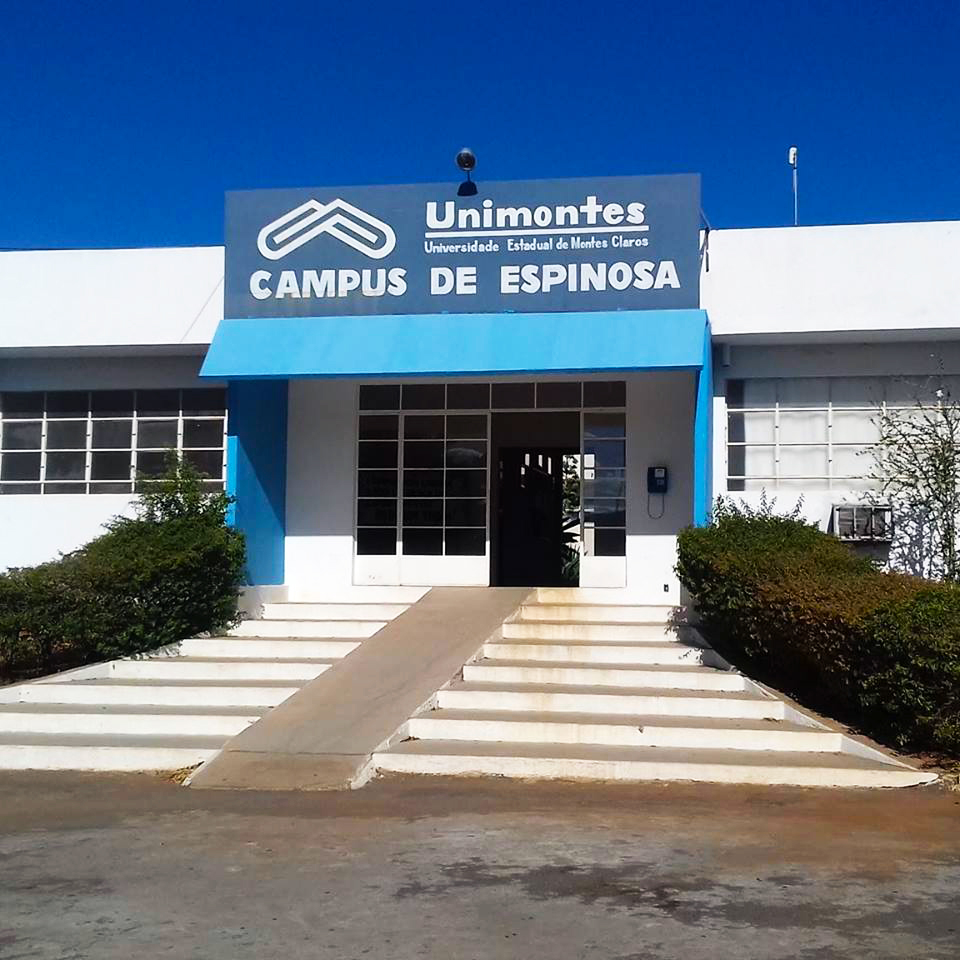 Universidade Estadual de Montes Claros - 1