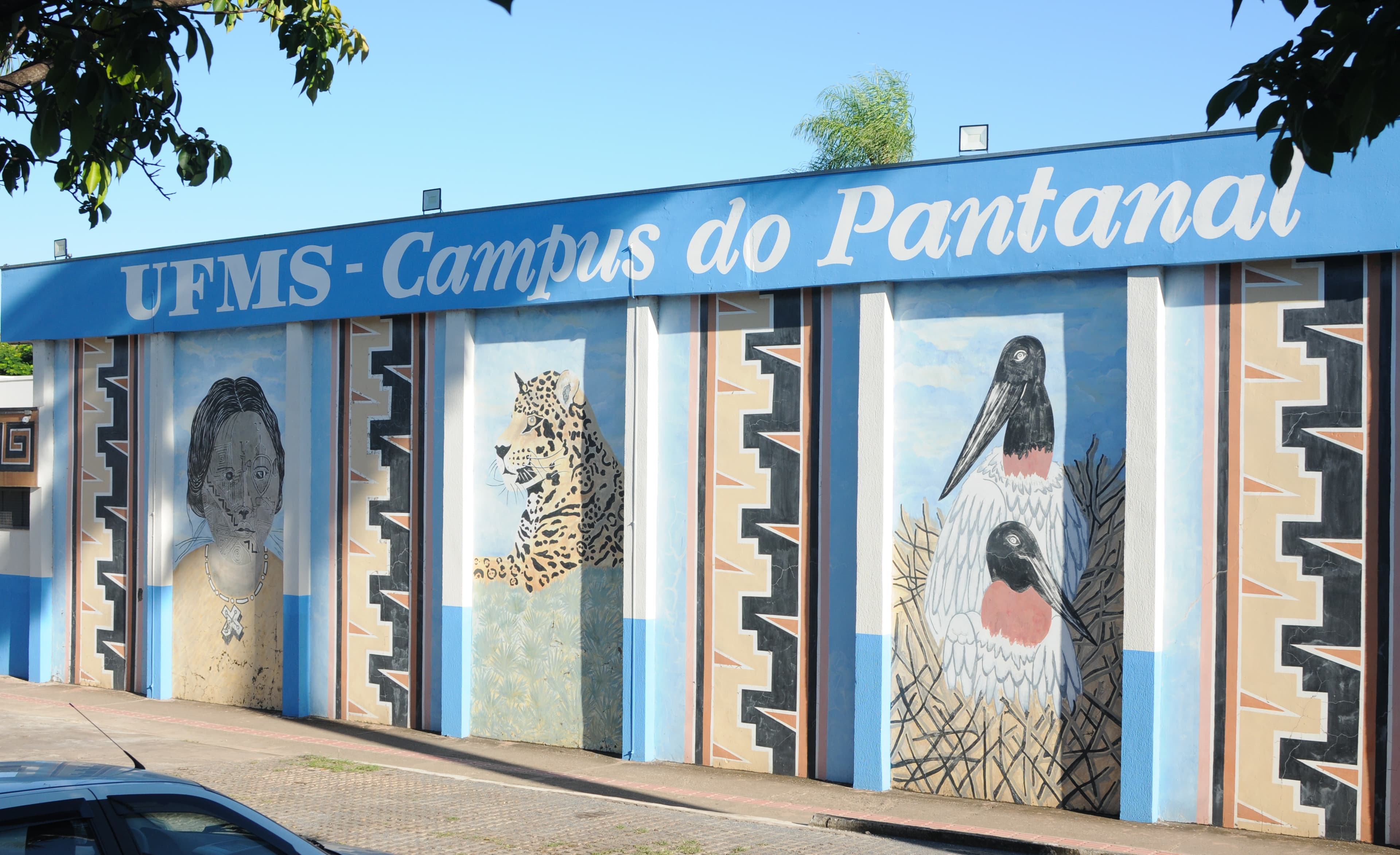 Universidade Para O Desenvolvimento do Estado e Região do Pantanal - 1